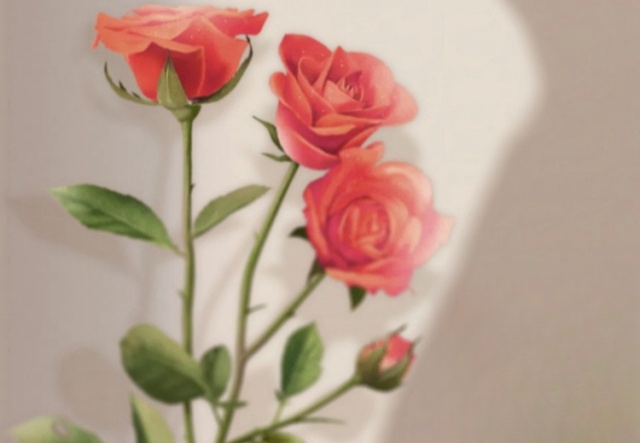 祝天下女神們節日快樂?。。? ></a>
                        <a href=